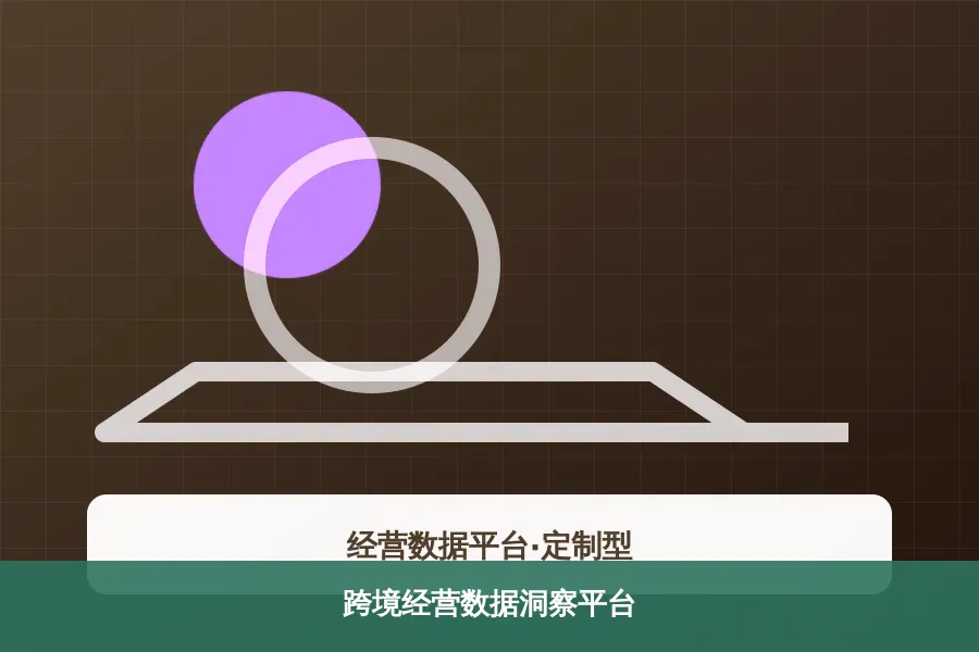 跨境经营数据洞察平台